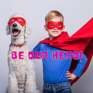 photo of large white poodle and young boy wearing red superhero masks and capes