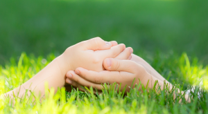a child's hands cupping another child's hands in green grass
